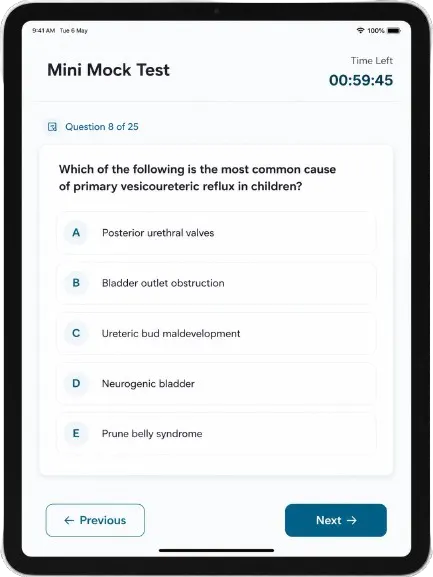 Mini Mock Test app mockup